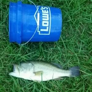 Meet your Posher, Damian